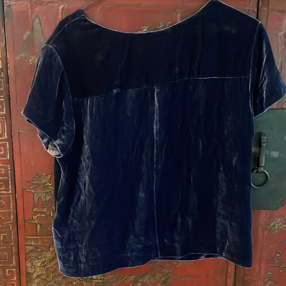 J Crew velvet tee